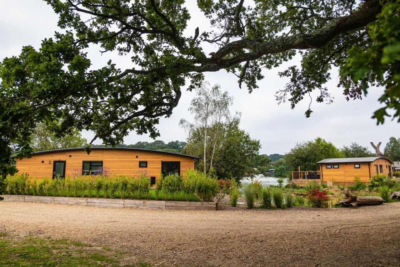 Sumners Ponds Fishery & Campsite Hotel Horsham Exterior foto